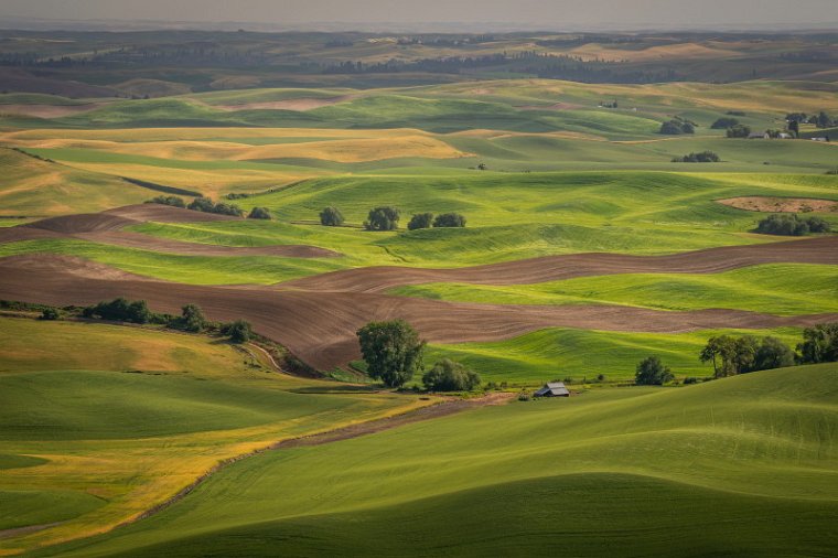 011 Steptoe Butte SP.jpg